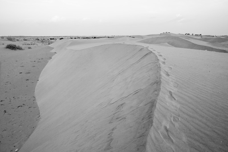 The arid landscape of the Great Indian Desert in Jaisalmer district, Rajasthan